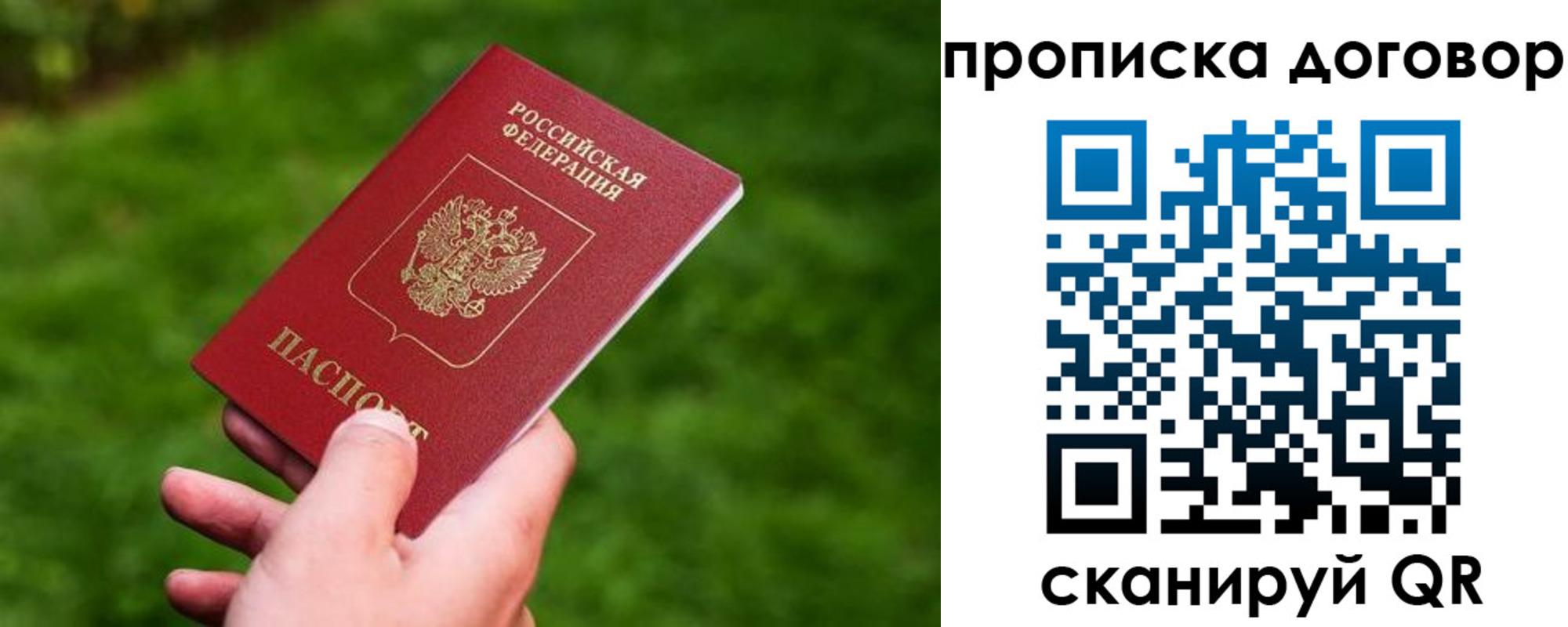 прописка гарантия в Ардоне